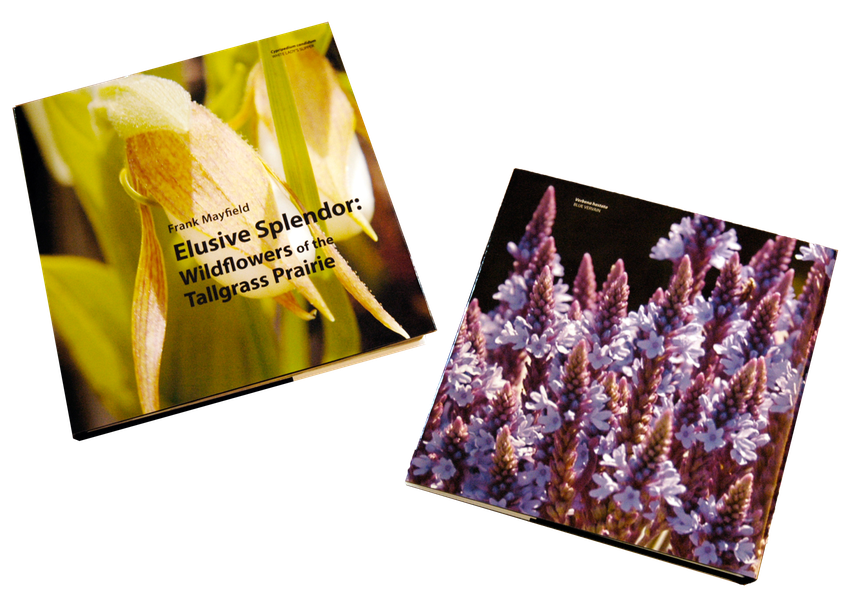 01 - front & back dust cover