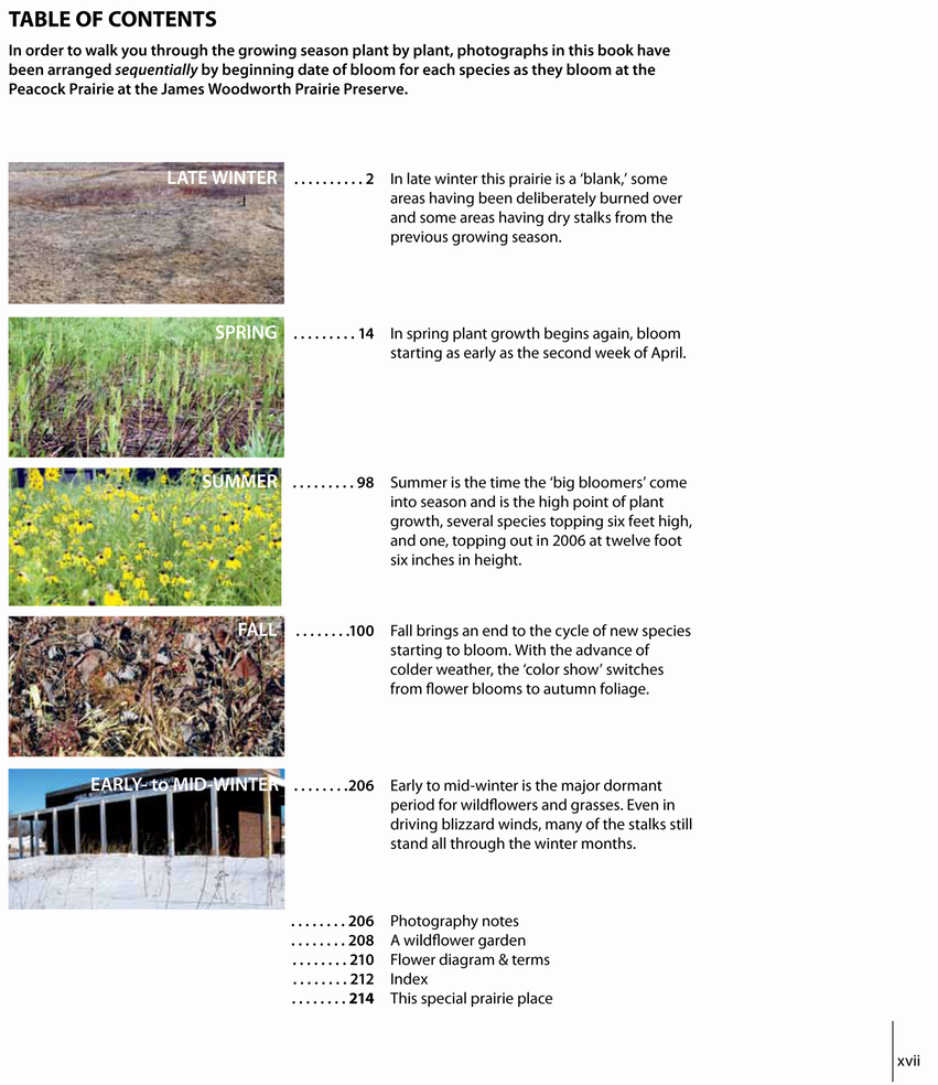 10 - table of contents