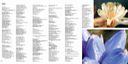 11 - index