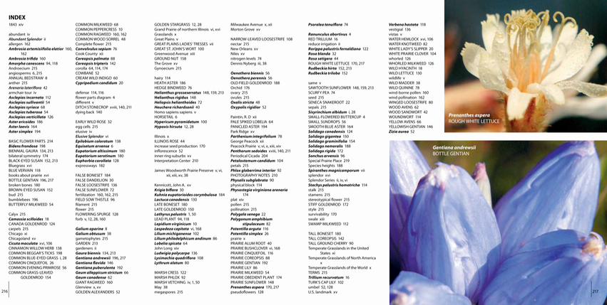 11 - index