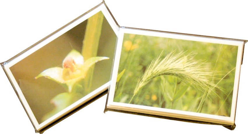2 sample sets in glassine shipping envelopes