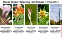4 BOOK SAMPLER greeting cards VERTICAL (08)