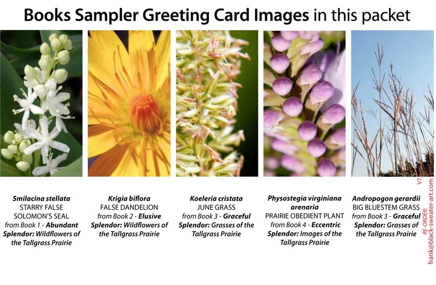 4 BOOK SAMPLER greeting cards VERTICAL (07)