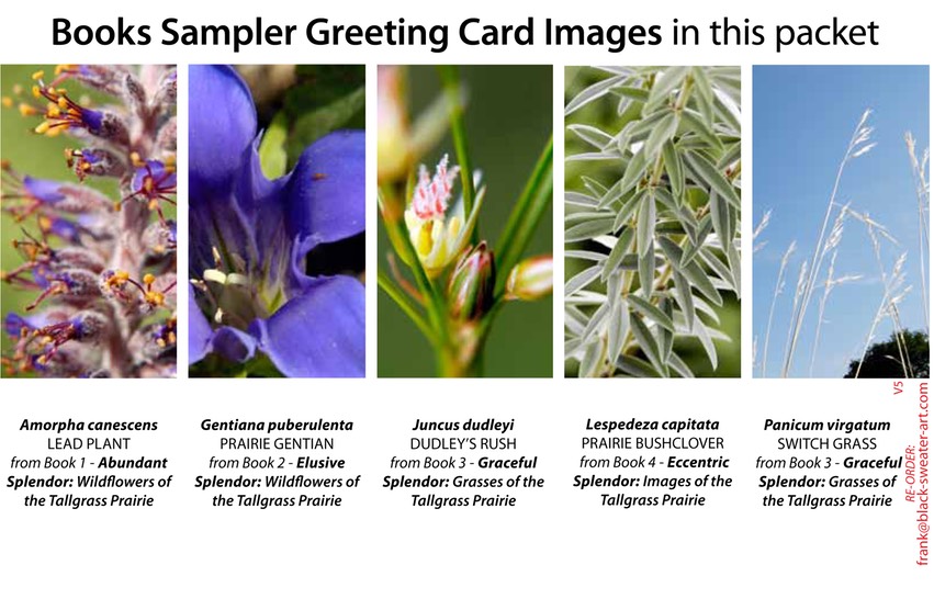 4 BOOK SAMPLER greeting cards VERTICAL (05)