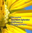  ABUNDANT front cover only