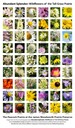 Abundant Splendor poster