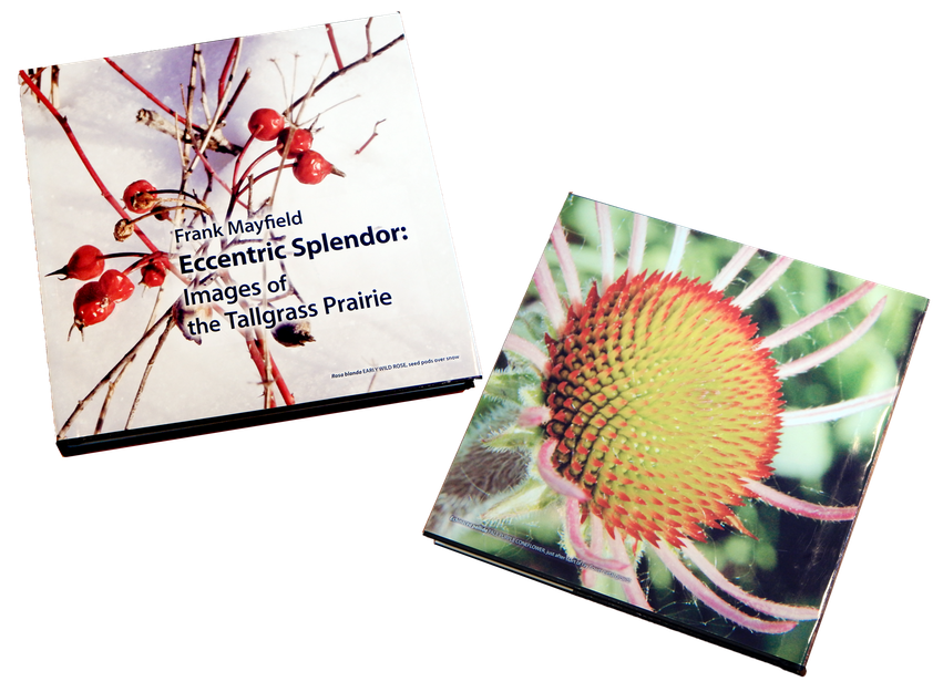 Book 4 front & back covers