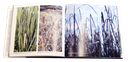Book 4 page 2
