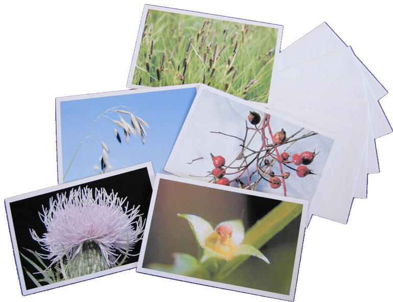 card set #1 flat spread