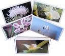 card set #1 standing tent-like