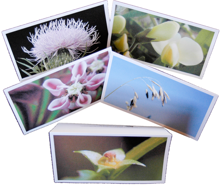 card set #1 standing tent-like