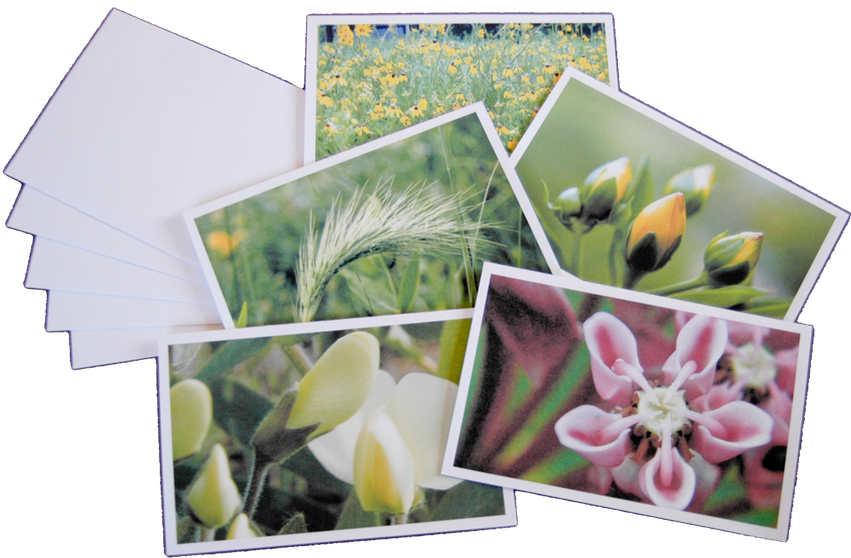 card set #2 flat spread