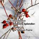 ECCENTRIC front cover only