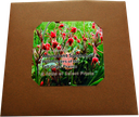 Folio packet