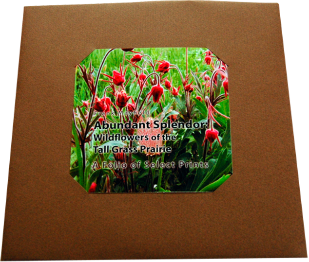 Folio packet