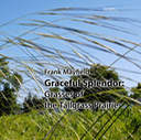 GRACEFUL front cover only