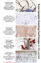 SNOW SAMPLER greeting cards HORIZONTAL (1)