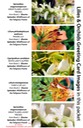 2 SPECIES greeting cards MIXED (02)