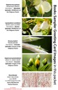 4 BOOK SAMPLER greeting cards HORIZONTAL (11)