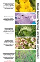 4 BOOK SAMPLER greeting cards HORIZONTAL (03)
