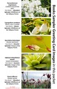 4 BOOK SAMPLER greeting cards HORIZONTAL (04)