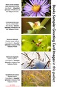 4 BOOK SAMPLER greeting cards HORIZONTAL (05)