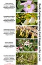 4 BOOK SAMPLER greeting cards HORIZONTAL (06)