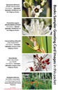 4 BOOK SAMPLER greeting cards HORIZONTAL (07)