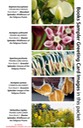 4 BOOK SAMPLER greeting cards HORIZONTAL (08)