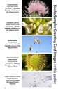 4 BOOK SAMPLER greeting cards HORIZONTAL (02)