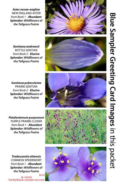 BLUE SAMPLER greeting card image spread mixed (1)