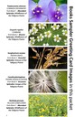 BOOK SAMPLER greeting cards HORIZONTAL (01)